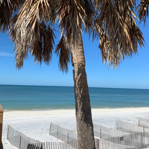 Meet your Posher, Vicki - Picture 1 of 1